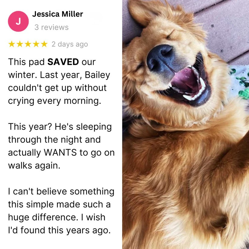 Whisker Care - Calmi Heat™  - Pet Comfort Pad