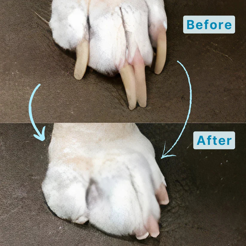 Whisker Care™  Electric Pet Nail Grinder